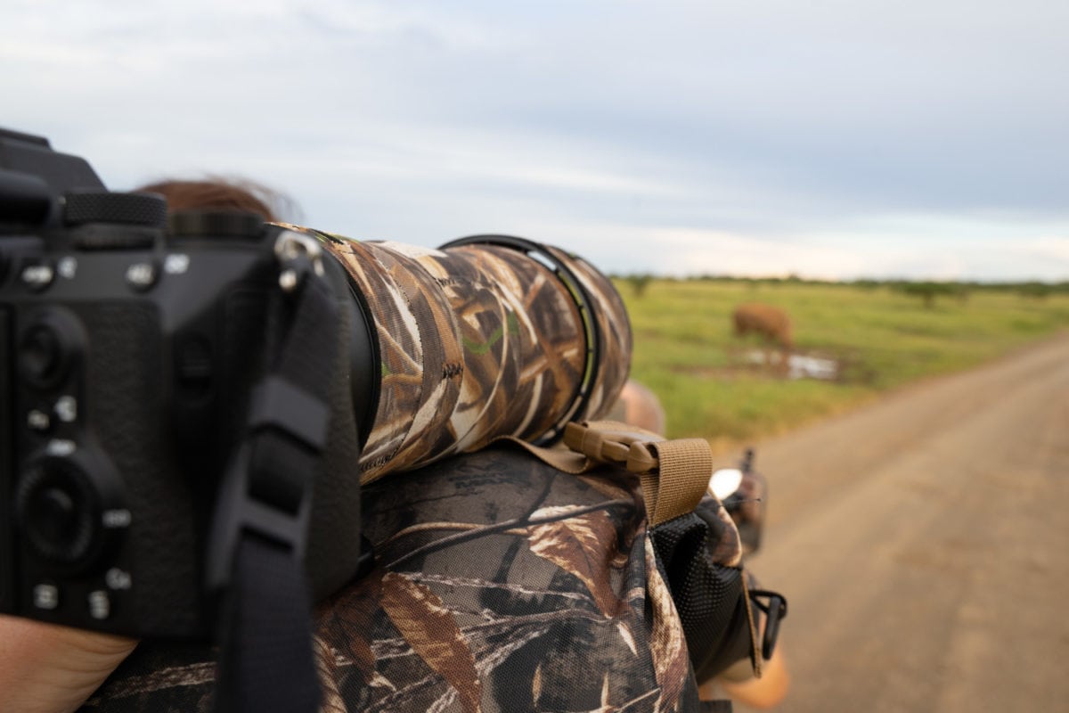 10 Essential Photography Tips for Your Safari