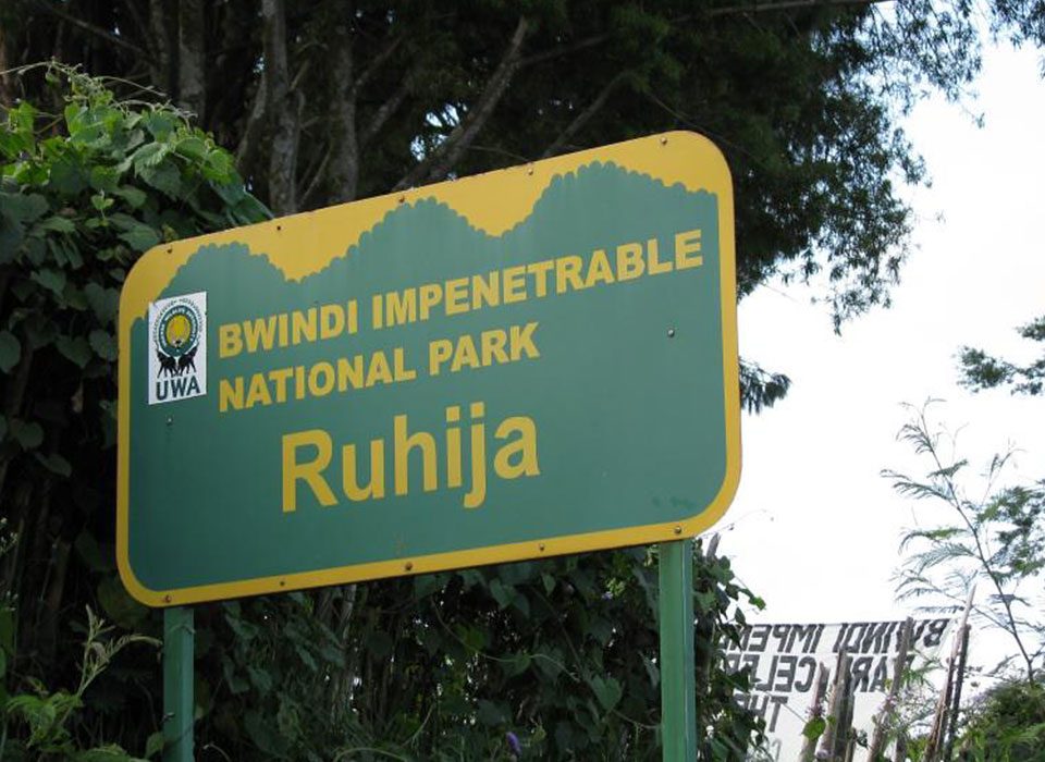 Ruhija Sector - Bwindi Impenetrable Forest