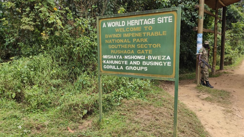 Rushaga Sector - Bwindi Impenetrable Forest
