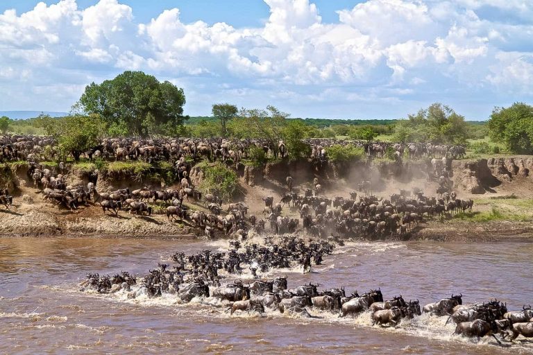 Great Migration Update – January 2026